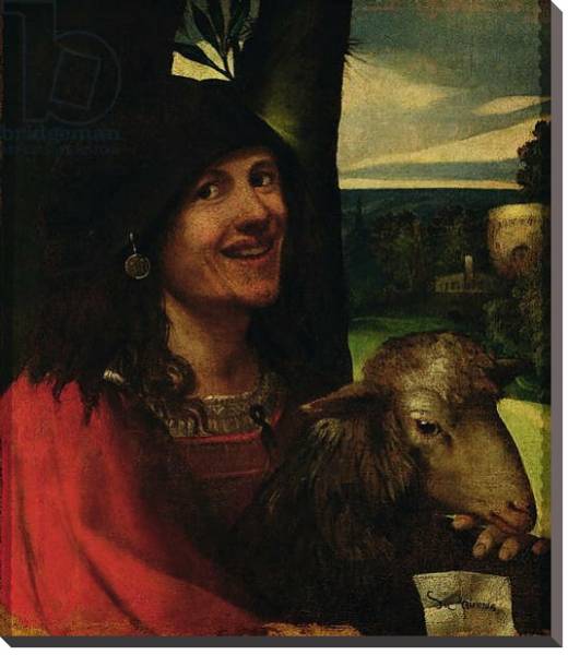 Постер Portrait of a Court Jester с типом исполнения На холсте без рамы