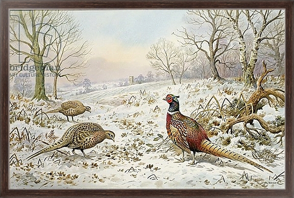 Постер Pheasant and Partridges in a Snowy Landscape с типом исполнения На холсте в раме в багетной раме 221-02
