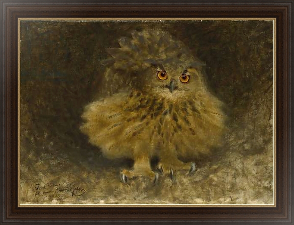 Постер An Eagle Owl, 1905 с типом исполнения На холсте в раме в багетной раме 1.023.151