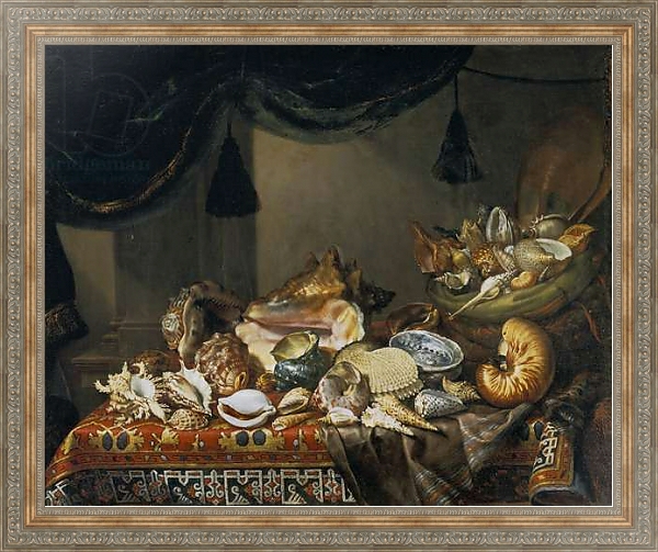 Постер Still-life with shells с типом исполнения На холсте в раме в багетной раме 484.M48.310