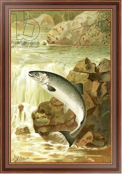 Постер A Salmon leap с типом исполнения На холсте в раме в багетной раме 35-M719P-83