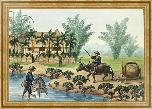 Постер Manila and it's Environs: A Scene on the Pasig River с типом исполнения На холсте в раме в багетной раме NA033.1.051