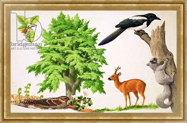 Постер The Beech Tree с типом исполнения На холсте в раме в багетной раме NA033.1.051