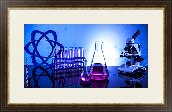 Постер Оборудование для химической лаборатории с типом исполнения Под стеклом в багетной раме 1.023.036