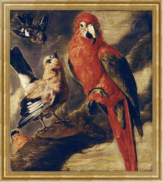 Постер Macaw and Bullfinch с типом исполнения На холсте в раме в багетной раме NA033.1.051