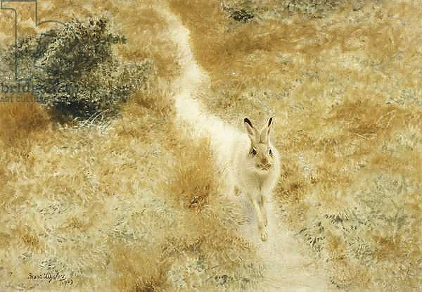 Постер A Winter-Hare in a Landscape, 1909 с типом исполнения На холсте без рамы