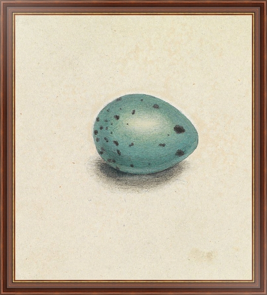 Постер A Bird’s Egg с типом исполнения На холсте в раме в багетной раме 35-M719P-83