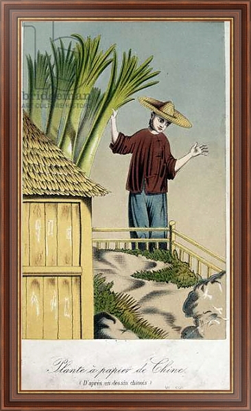 Постер Plante a Papier de Chine с типом исполнения На холсте в раме в багетной раме 35-M719P-83