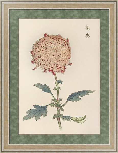 Постер Keika hyakugiku, Pl.21 с типом исполнения Акварель в раме в багетной раме 485.M40.584