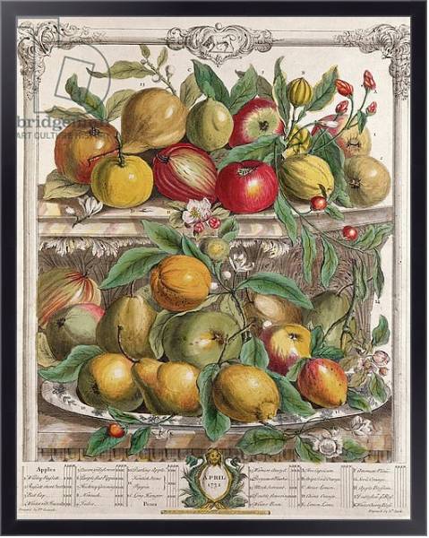 Постер April, from 'Twelve Months of Fruits', by Robert Furber engraved by J. Clark, 1732 с типом исполнения На холсте в раме в багетной раме 221-01