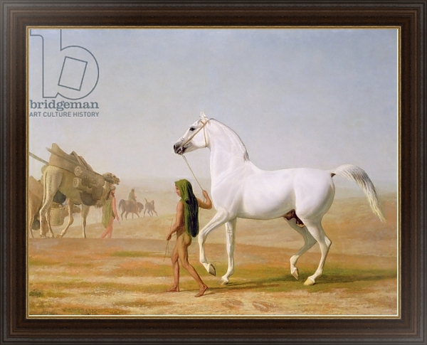 Постер The Wellesley Grey Arabian led through the Desert, c.1810 с типом исполнения На холсте в раме в багетной раме 1.023.151