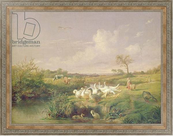Постер Geese Grazing, 1854 с типом исполнения На холсте в раме в багетной раме 484.M48.310
