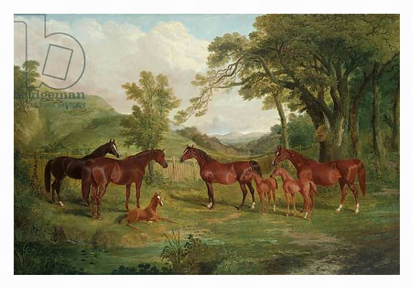 Постер The Streatlam Stud, Mares and Foals, 1836 с типом исполнения На холсте в раме в багетной раме 221-03