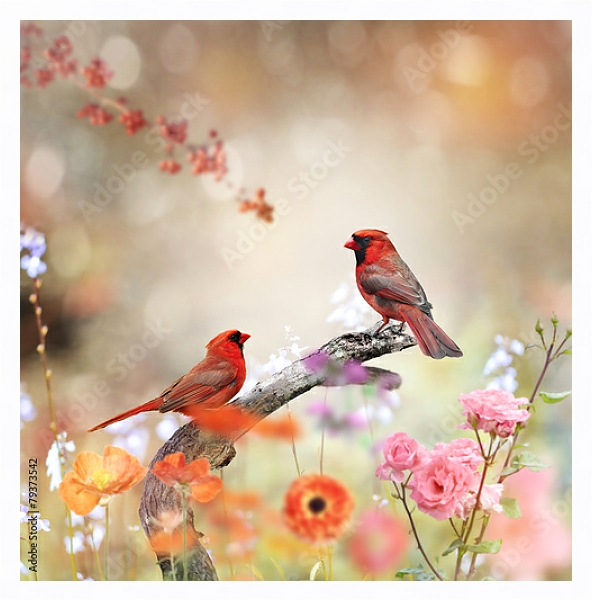 Постер Красные кардиналы на ветке в цветах с типом исполнения На холсте в раме в багетной раме 221-03