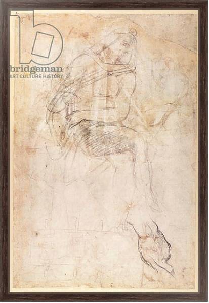 Постер Study for the Ignudi above the Persian Sibyl in the Sistine Chapel, 1508-12 с типом исполнения На холсте в раме в багетной раме 221-02