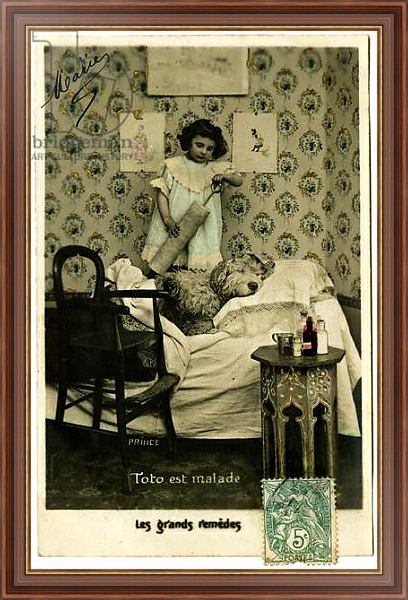 Постер Postcard: Toto is sick, great remedies, Prince с типом исполнения На холсте в раме в багетной раме 35-M719P-83