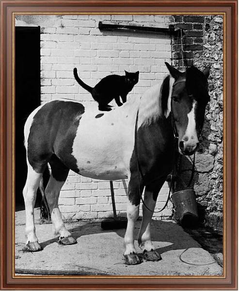 Постер История в черно-белых фото 998 с типом исполнения На холсте в раме в багетной раме 35-M719P-83