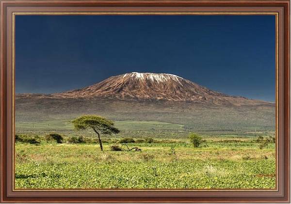 Постер Килиманджаро с типом исполнения На холсте в раме в багетной раме 35-M719P-83