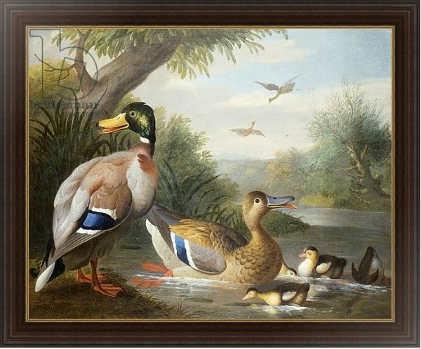 Постер Ducks in a River Landscape с типом исполнения На холсте в раме в багетной раме 1.023.151