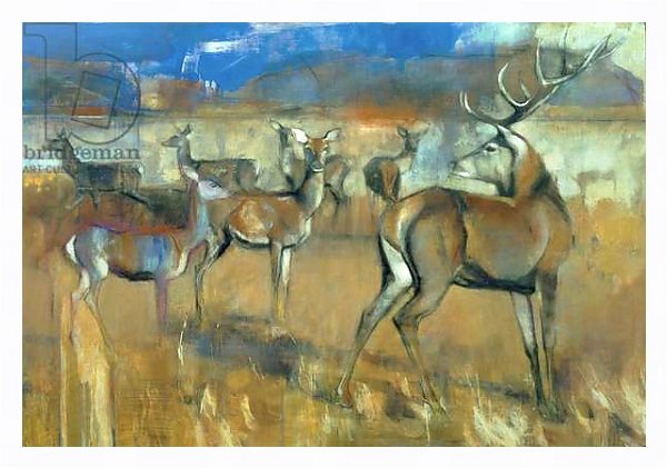 Постер Gathering Deer, 1998 с типом исполнения На холсте в раме в багетной раме 221-03