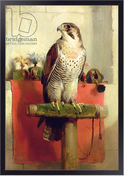 Постер Falcon, 1837 с типом исполнения На холсте в раме в багетной раме 221-01