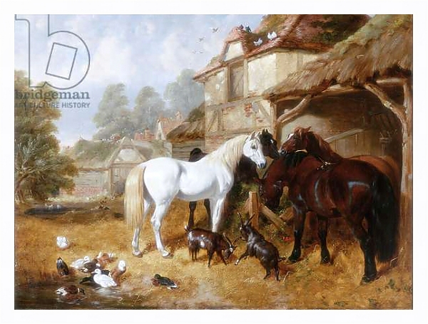 Постер Horses in a Farmyard с типом исполнения На холсте в раме в багетной раме 221-03
