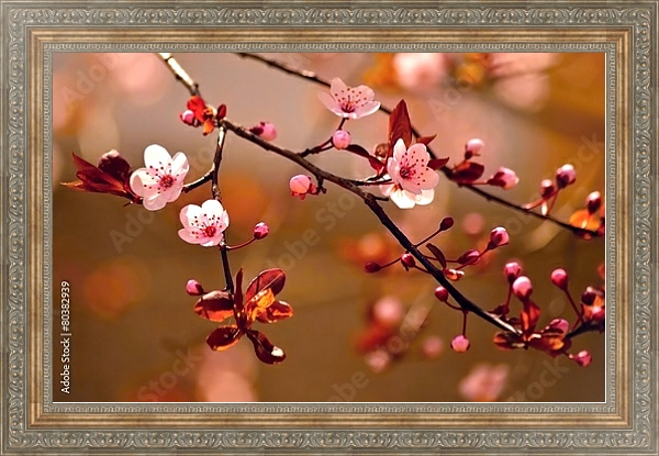 Постер Ветки цветущей сакуры в красных оттенках с типом исполнения На холсте в раме в багетной раме 484.M48.310