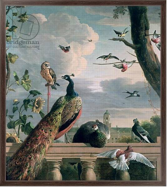 Постер Palace of Amsterdam with Exotic Birds с типом исполнения На холсте в раме в багетной раме 221-02