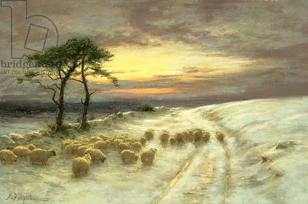 Постер Sheep in the Snow 1 с типом исполнения На холсте без рамы