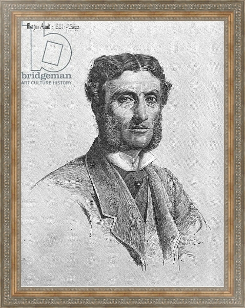 Постер Matthew Arnold, 1881 с типом исполнения На холсте в раме в багетной раме 484.M48.310