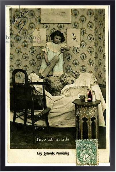 Постер Postcard: Toto is sick, great remedies, Prince с типом исполнения На холсте в раме в багетной раме 221-01