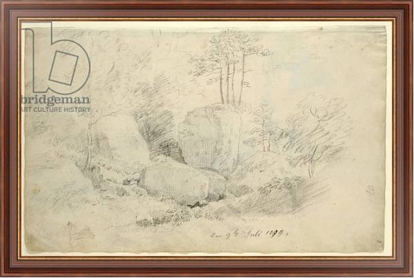 Постер Boulders in Woodland, 1800 с типом исполнения На холсте в раме в багетной раме 35-M719P-83
