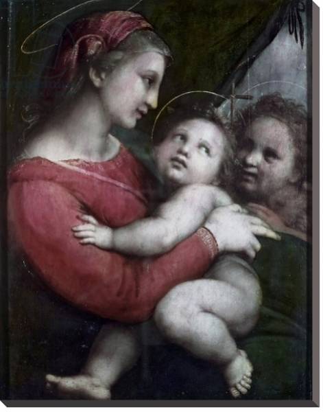 Постер Madonna della Tenda, c.1512 с типом исполнения На холсте без рамы
