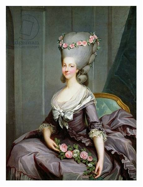 Постер Marie-Therese de Savoie-Carignan Princess of Lamballe с типом исполнения На холсте в раме в багетной раме 221-03