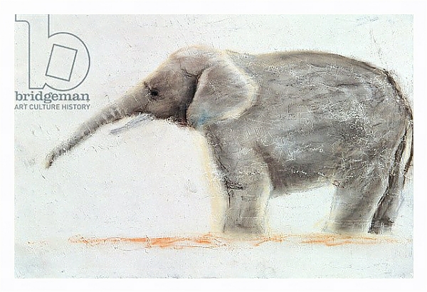 Постер Elephant с типом исполнения На холсте в раме в багетной раме 221-03