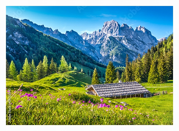 Постер Швейцария. Идиллический альпийский пейзаж с типом исполнения На холсте в раме в багетной раме 221-03