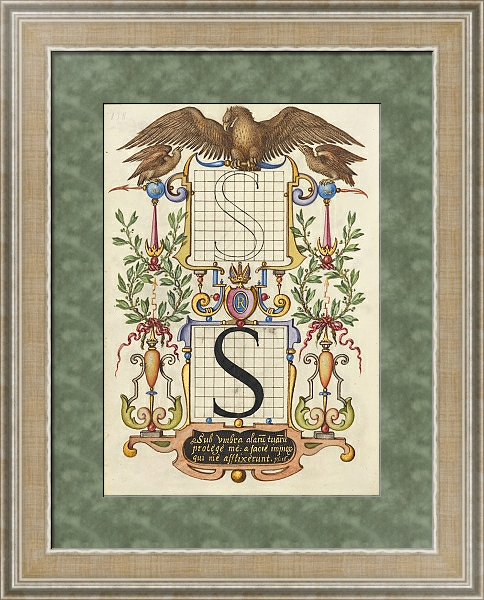 Постер Guide for Constructing the Letter S с типом исполнения Акварель в раме в багетной раме 485.M40.584