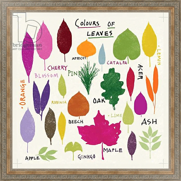 Постер Colours of Leaves с типом исполнения На холсте в раме в багетной раме 484.M48.310