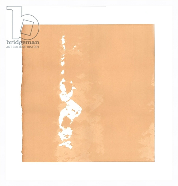 Постер Whirling Dervish, 2015, screenprint с типом исполнения На холсте в раме в багетной раме 221-03
