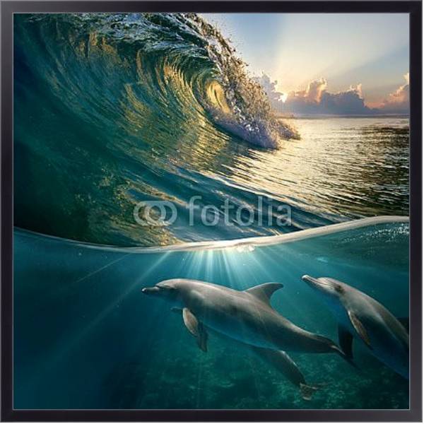 Постер Стайка дельфинов под волной с типом исполнения На холсте в раме в багетной раме 221-01
