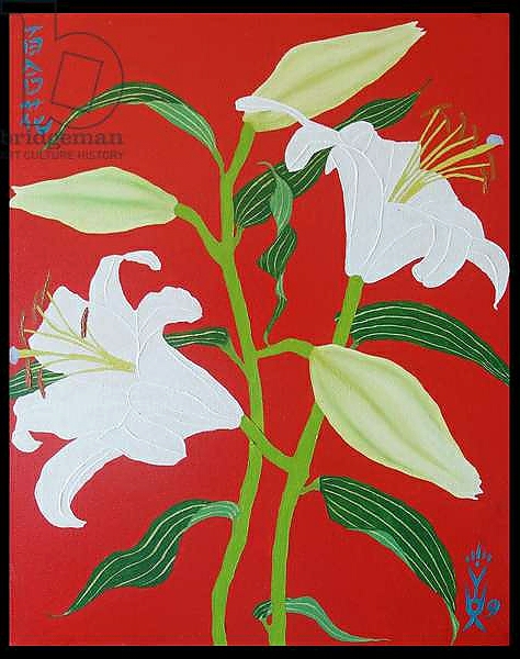 Постер White lily on a red background no.1, 2008, oil on canvas с типом исполнения На холсте без рамы