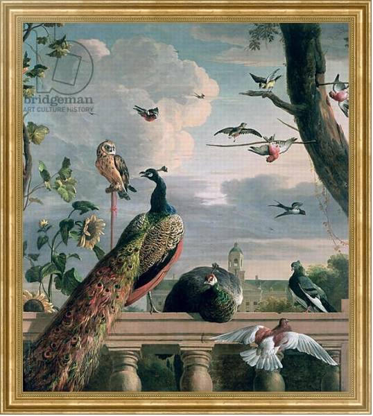 Постер Palace of Amsterdam with Exotic Birds с типом исполнения На холсте в раме в багетной раме NA033.1.051