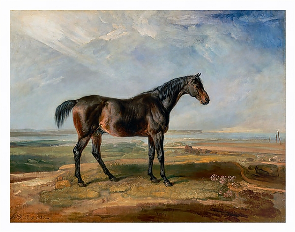 Постер Racehorse Standing in a Coastal Landscape an Estuary Beyond 1820 с типом исполнения На холсте в раме в багетной раме 221-03