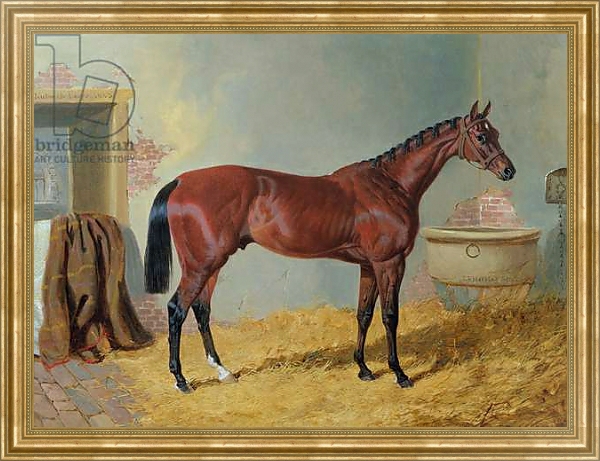 Постер Mr S. Wrather's 'Nutwith' in a stable с типом исполнения На холсте в раме в багетной раме NA033.1.051