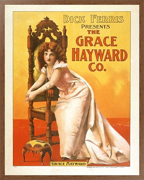 Постер Dick Ferris presents The Grace Hayward Co с типом исполнения На холсте в раме в багетной раме 1727.4310