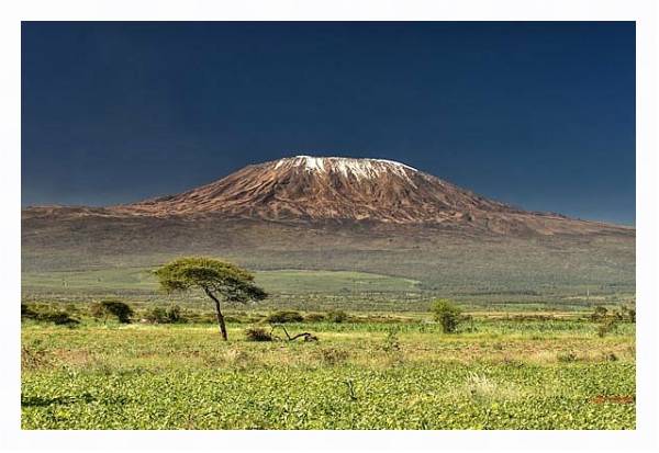 Постер Килиманджаро с типом исполнения На холсте в раме в багетной раме 221-03