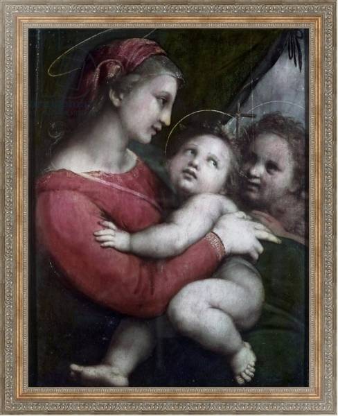 Постер Madonna della Tenda, c.1512 с типом исполнения На холсте в раме в багетной раме 484.M48.310