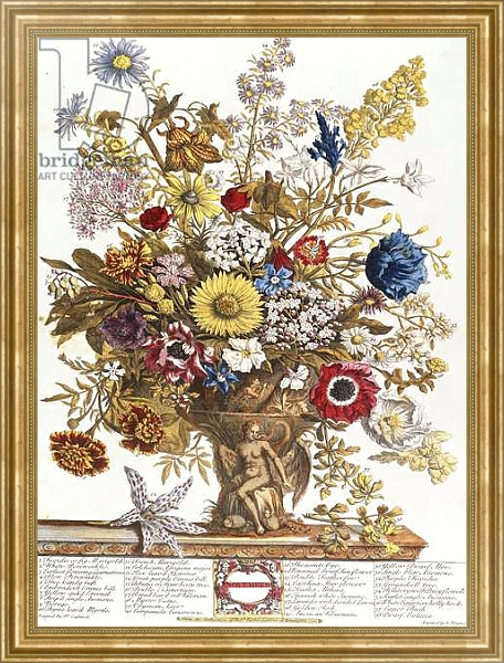 Постер November, from 'Twelve Months of Flowers', 1730 с типом исполнения На холсте в раме в багетной раме NA033.1.051