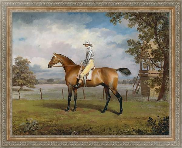 Постер Portrait of a Racehorse Possibly Disguise with Jockey Up с типом исполнения На холсте в раме в багетной раме 484.M48.310