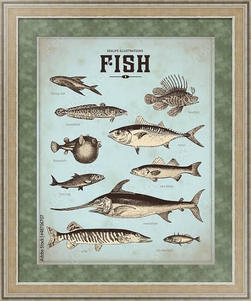 Постер Ретро плакат с видами рыб 2 с типом исполнения Акварель в раме в багетной раме 485.M40.584